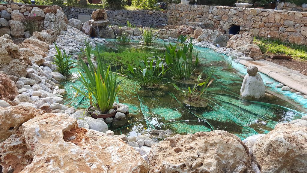 פייאנס Villa Eden Vert מראה חיצוני תמונה