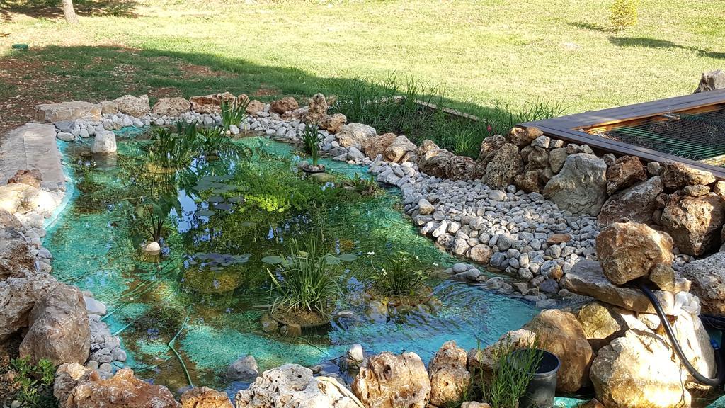 פייאנס Villa Eden Vert מראה חיצוני תמונה