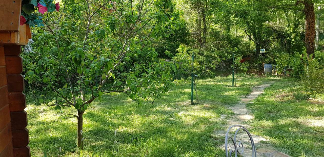 פייאנס Villa Eden Vert מראה חיצוני תמונה